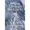 Seeing Through the Cracks - Paperback
