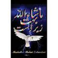 Mashallah Bohot Zabardast: Vol. 1 - Paperback