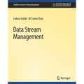 Data Stream Management - Paperback