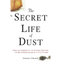 The Secret Life of Dust: From the Cosmos to the Kitchen Counter, the Big Consequences of Little Things - Paperback