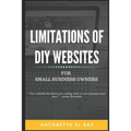 Limitations of DIY Websites: For Small Business Owners - Paperback