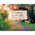 Promises On the Path - Paperback