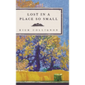Lost in a Place So Small - Paperback
