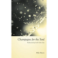 Champagne for the Soul: Celebrating God's Gift of Joy - Hardcover