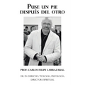 Puse Un Pie Después Del Otro: Dr. En Derecho, Teologia, Psicología, Director Espiritual. - Paperback