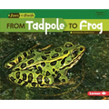 From Tadpole to Frog - Paperback
