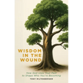 Wisdom in the Wound: How God Uses Your Past to Shape Who You're Becoming - Paperback