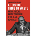 A Terrible Thing to Waste: Arthur Fletcher and the Conundrum of the Black Republican - Paperback