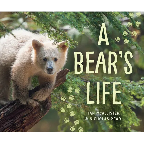 A Bear's Life - Hardcover