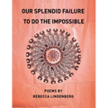 Our Splendid Failure to Do the Impossible - Paperback