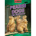 Prairie Dogs in Their Ecosystems - Library Binding
