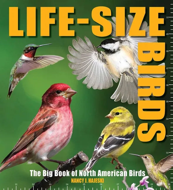 Life-Size Birds: The Big Book of North American Birds - Hardcover