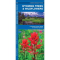 Wyoming Trees & Wildflowers: A Folding Pocket Guide to Familiar Plants