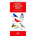 Colorado Birds: A Folding Pocket Guide to Familiar Species