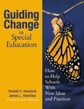 Guiding Change in Special Education: How to Help Schools With New Ideas and Practices - Paperback
