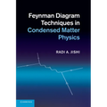 Feynman Diagram Techniques in Condensed Matter Physics - Paperback