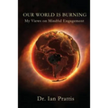 Our World is Burning: My Views on Mindful Engagement - Paperback