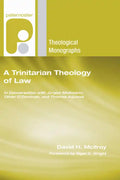 A Trinitarian Theology of Law - Paperback