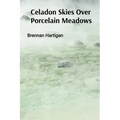 Celadon Skies Over Porcelain Meadows: A Ceramicist's Odyssey Through Form, Texture, and Translucence - Paperback