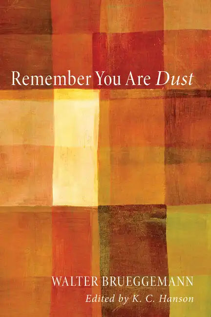 Remember You Are Dust - Hardcover