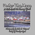 Under the Moon -- A Kid's Guide To Norway Fjords - Paperback