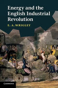 Energy and the English Industrial Revolution - Paperback