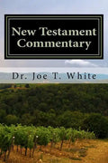New Testament Commentary: Mark and Luke - Paperback