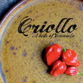 Criollo: A Taste of Venezuela - Paperback