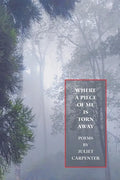Where a Piece of Me is Torn Away - Paperback