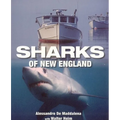 Sharks of New England - Paperback