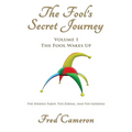 The Fool's Secret Journey Volume 1: The Fool Wakes Up - Paperback
