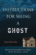 Instructions for Seeing a Ghost - Paperback