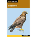 Birds of Prey - Paperback