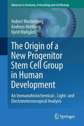 The Origin of a New Progenitor Stem Cell Group in Human Development: An Immunohistochemical-, Light- And Electronmicroscopical Analysis - Paperback