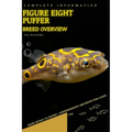 Figure eight puffer: From Novice to Expert. Comprehensive Aquarium Fish Guide - Paperback