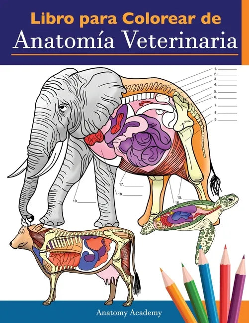 Libro para colorear de anatomía veterinaria: Libro de trabajo para colorear de autoevaluación de fisiología animal para estudiar y relajarse Un regalo - Paperback