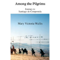 Among the Pilgrims: Journeys to Santiago De Compostela - Paperback