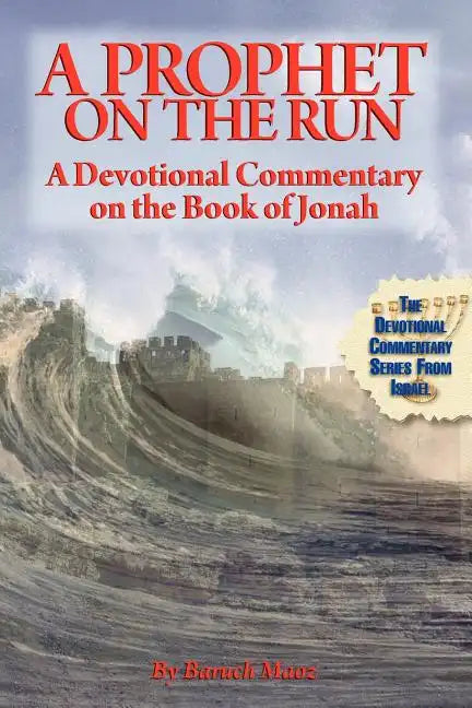 A Prophet on the Run - Paperback