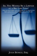 So, You Wanna Be a Lawyer at a Big Law Firm?: What you need to know about practicing law at a big law firm before going to law school or before taking - Paperback