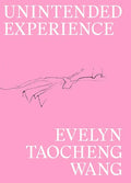 Evelyn Taocheng Wang: Unintended Experience: A Job in Amsterdam - Paperback