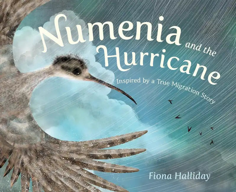 Numenia and the Hurricane: Inspired by a True Migration Story - Hardcover
