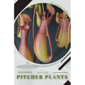 Pitcher Plants: Plant Guide - Paperback