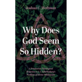 Why Does God Seem So Hidden?: A Trinitarian Theological Response to J. L. Schellenberg's Problem of Divine Hiddenness - Paperback