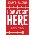 How We Got Here: 6,023 Years - Paperback
