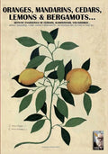 Oranges, mandarins, cedars, lemons & bergamots..: Artistic engravings of Ferrari, Aldrovrandi, Volckhamer... - Paperback