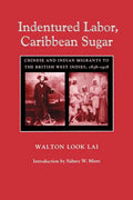 Indentured Labor, Caribbean Sugar: Chinese and Indian Migrants to the British West Indies, 1838-1918 - Paperback