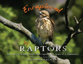 Enraptured by Raptors: The story of a hawk family that captured the heart of a community - Paperback