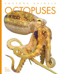 Octopuses - Paperback