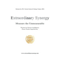 Extraordinary Synergy: Measuring the Unmeasurable - Hardcover
