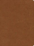 CSB He Reads Truth Bible, Saddle Leathertouch, Indexed - Imitation Leather